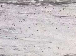 River White granite