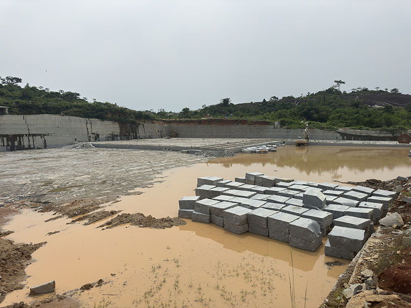 Salt and Pepper Granite Landscape Tiles