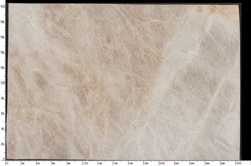 Taj Mahal New Arrival