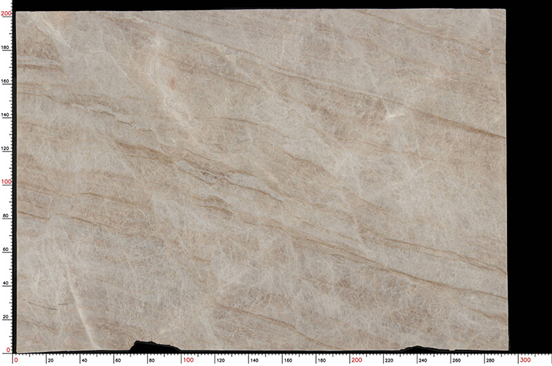 Taj Mahal New Arrival