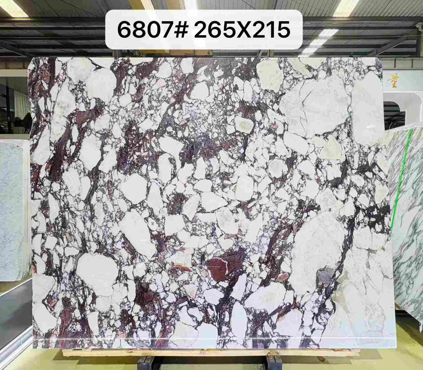 Premium Italian Calacatta Viola marble slab with creamy white and burgundy breccia